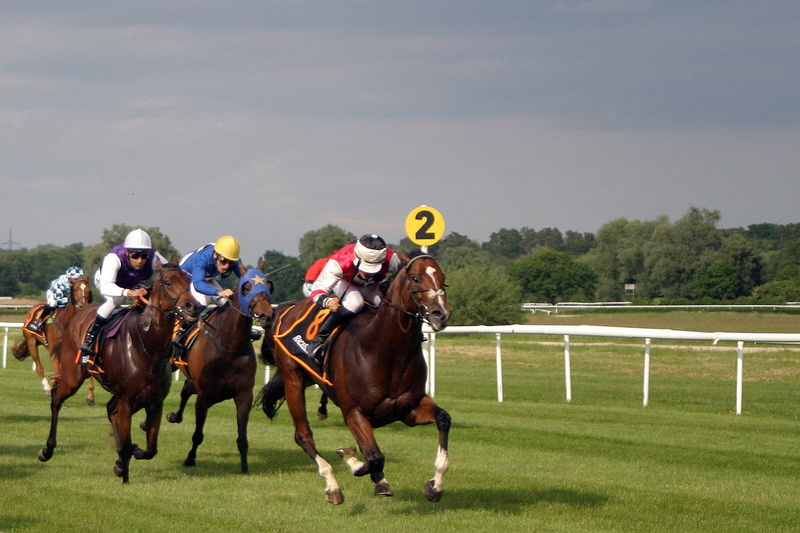 animal themes, outdoors, racehorse, horse, animal, horseback riding, jockey, the spring meeting, sports helmet, livestock, 1080P, helmet, riding, great week