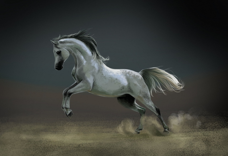 one animal, no people, speed, motion, stallion, art, animal themes, farm, profile view, vertebrate, horse, running, thoroughbred Horse, hairstyle, mare