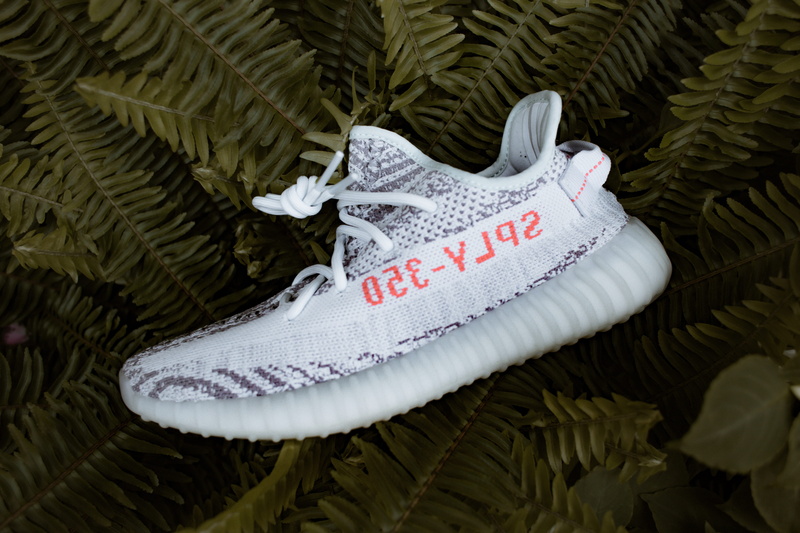 leaf, still life, nature, 5K, message, white color, communication, clothing, boost, text, white, adidas, plant, day, no people, high angle view, shoe