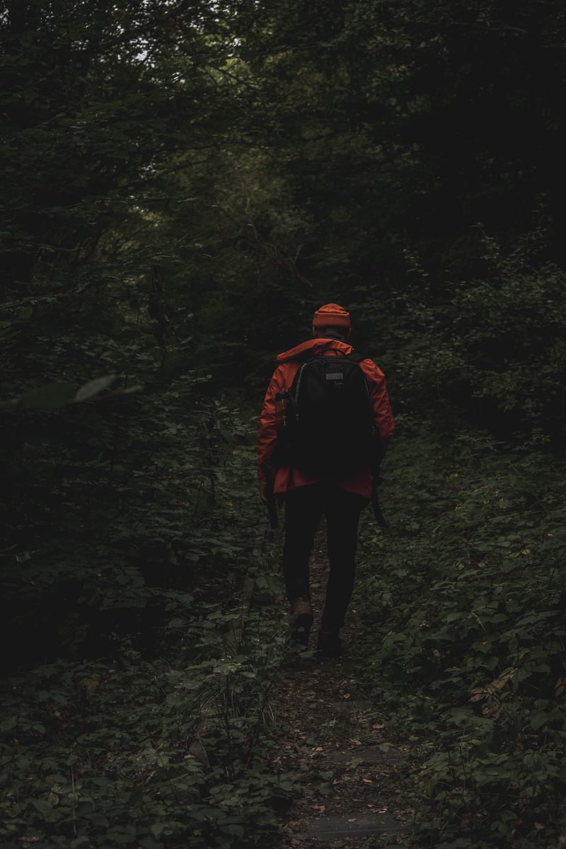 trail, lifestyles, backpack, person, man, weather, adventure, real people, lonley, apparel, landscape, outdoors, human, abies, full length, trip, holiday