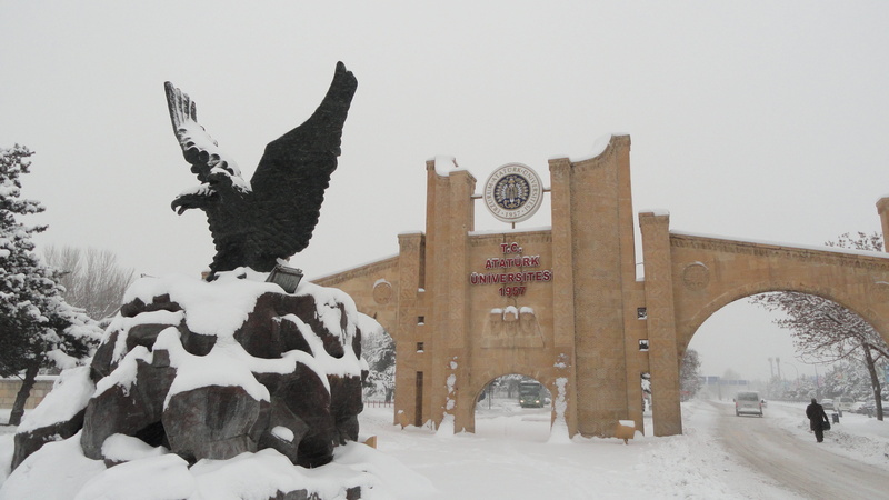 plant, 4K, art and craft, architecture, tree, human representation, sculpture, nature, one animal, antler, reindeer, Erzurum, Ataturk University, day