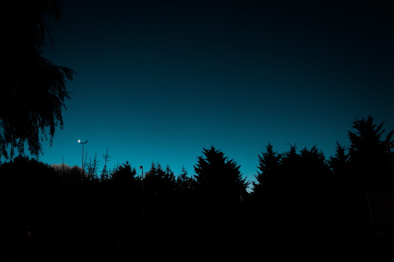 tree, growth, tranquility, trees, low angle view, scenics - nature, silhouette, turkey, nature, plant, clear sky, sky, ankara, blue, dusk, no people, türkiye