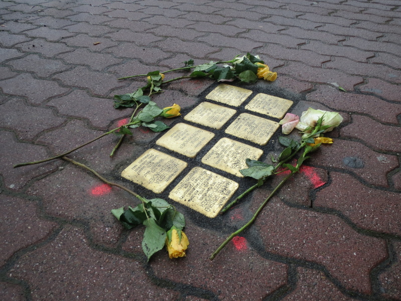 holocaust, street, plant, stone, germany, cobblestone, day, freshness, remembrance, flowering plant, nature, 2K, sidewalk, memorial, transportation, city