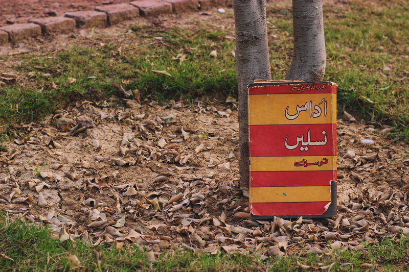 land, c block, sign, leaf, communication, leaves, forest, autumn, day, trunk, lahore, no people, warning sign, tree, pakistan, 2K, tree trunk, western script