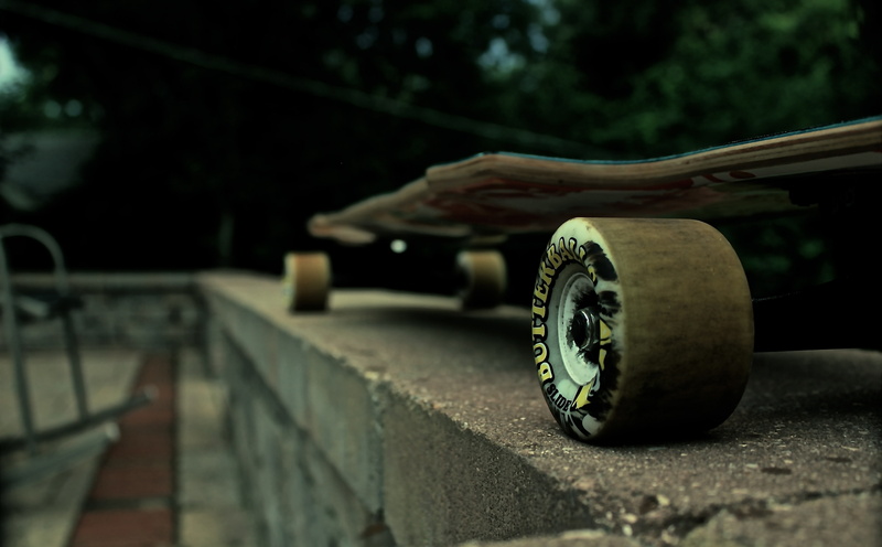 architecture, brown, sector 9, railing, road, transportation, plant, sliding, outdoors, mode of transportation, day, wood - material, close-up, nature