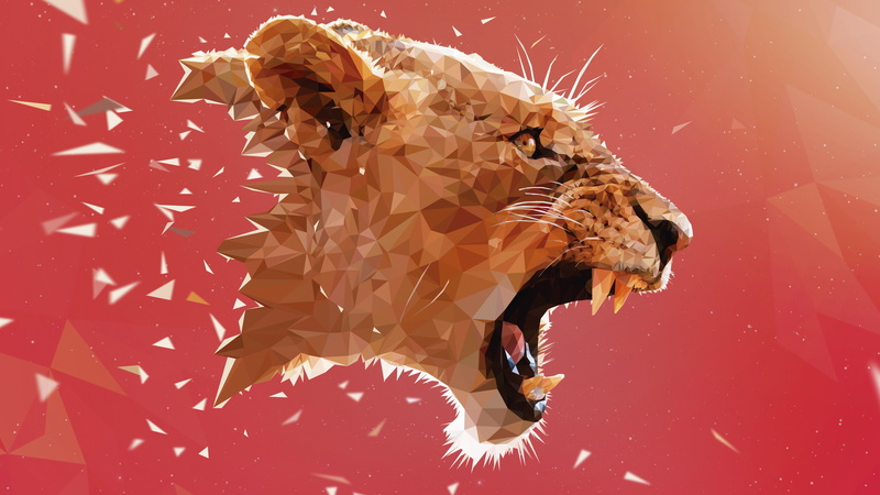 animal wildlife, indoors, animal themes, animal, lion adobe illustrator animals low poly digital art artwork pink geometry, cat, nature, animal mouth, mammal
