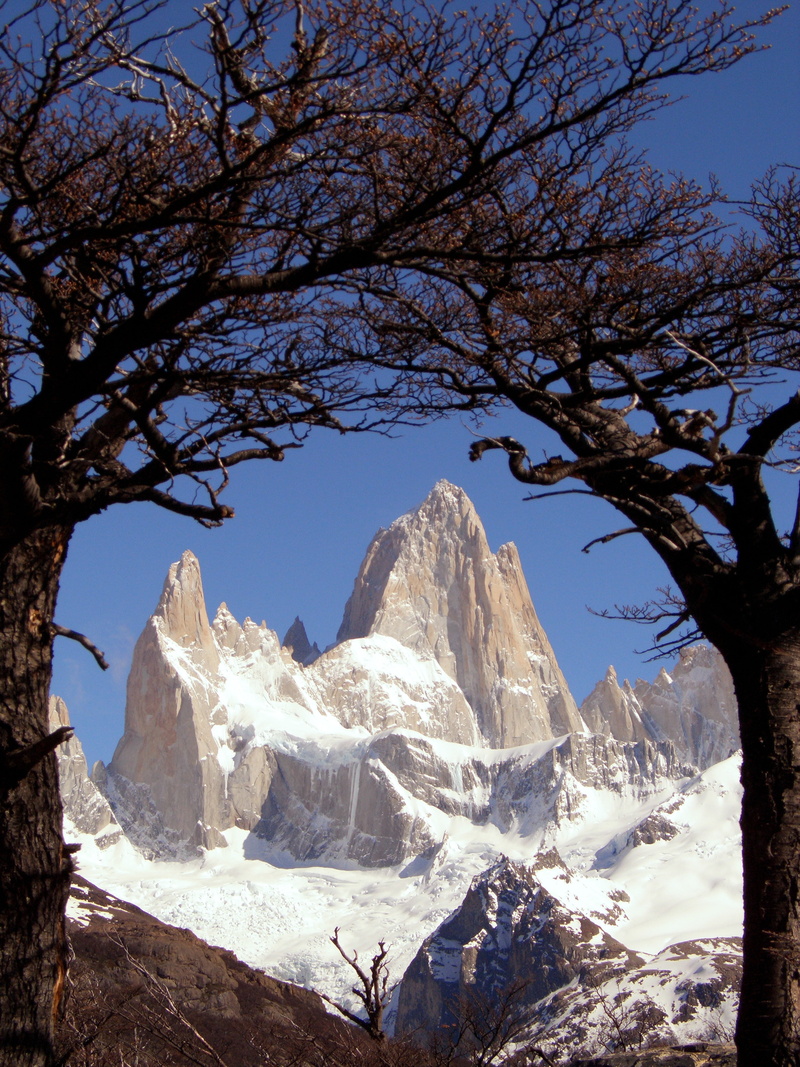 cold temperature, tree, trees, argentina, two, cerro torre, mountain, peaceful, bare tree, tranquility, beauty in nature, rock, snow, landscape, rocks
