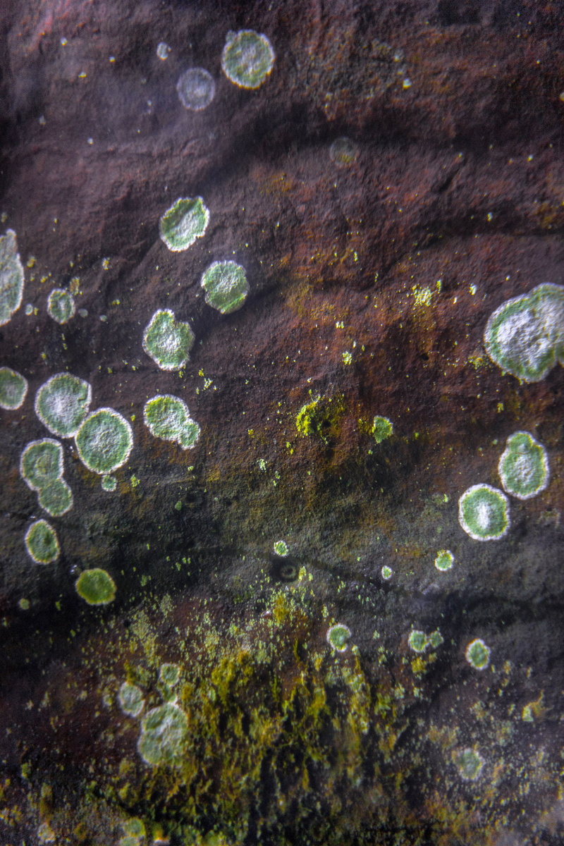 water, no people, astronomy, close-up, universe, day, outer space, full frame, stone, bubble, phong nha, accessories, nature, green color, 5K, jungle