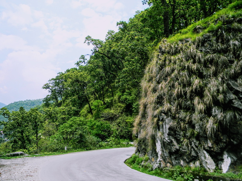 the way forward, green color, sikkim, direction, sky, green, tranquil scene, india, tree, no people, tranquility, non-urban scene, mountains, road, outdoors