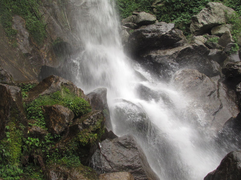 forest, blurred motion, rock, power, sikkim, long exposure, rock formation, solid, rainforest, scenics - nature, tree, india, nature, flowing, flowing water