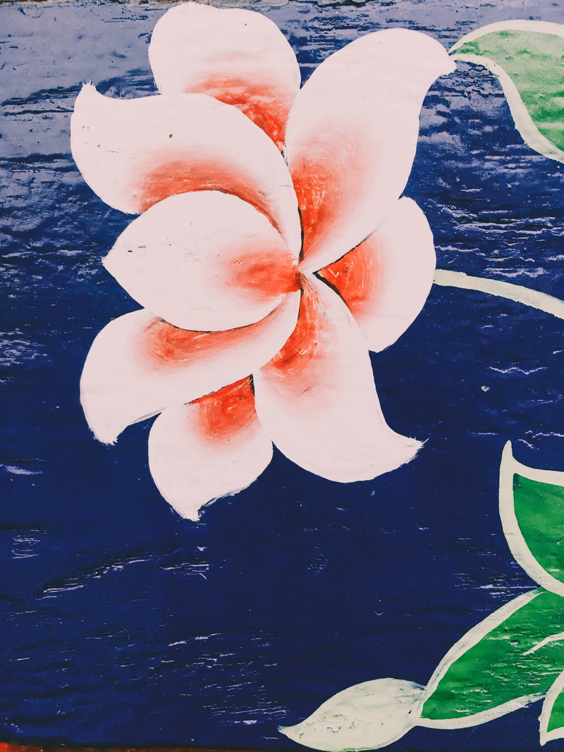 beauty in nature, floating on water, nature, snowman, water, petal, day, wall, art, no people, reflection, wallart, pond lily, buddhist, 4K, directly above