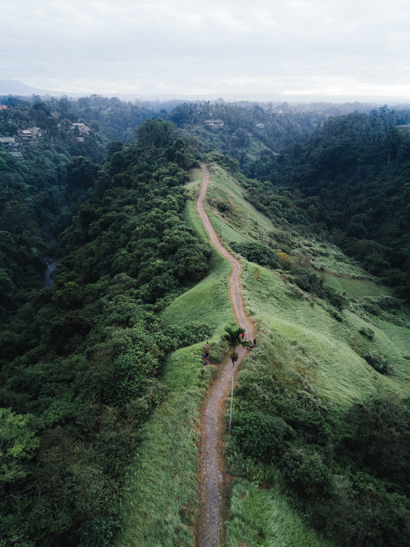 land, 4K, nature, outdoors, green color, mountains, shot, high angle view, aerial, sky, no people, road, day, transportation, cloud - sky, landscape, plant