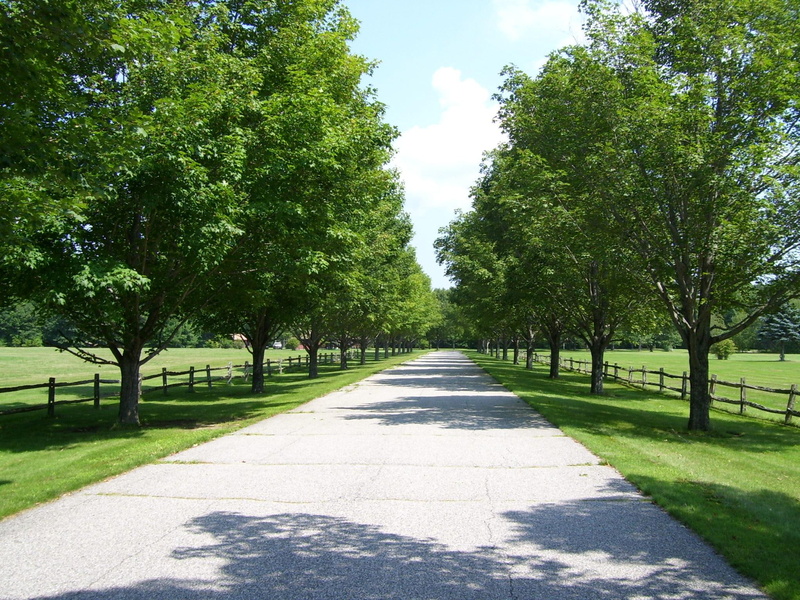 nature and landscapes, clouds, 1080P, trees, concrete, fences, leaves, nature, pretty, greenery, driveway