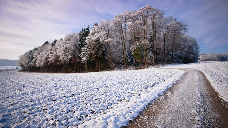 rime, freezing, beauty in nature, transportation, outdoors, covering, tranquil scene, powder snow, coniferous tree, bend, suburb, tree, landscape, cold temperature