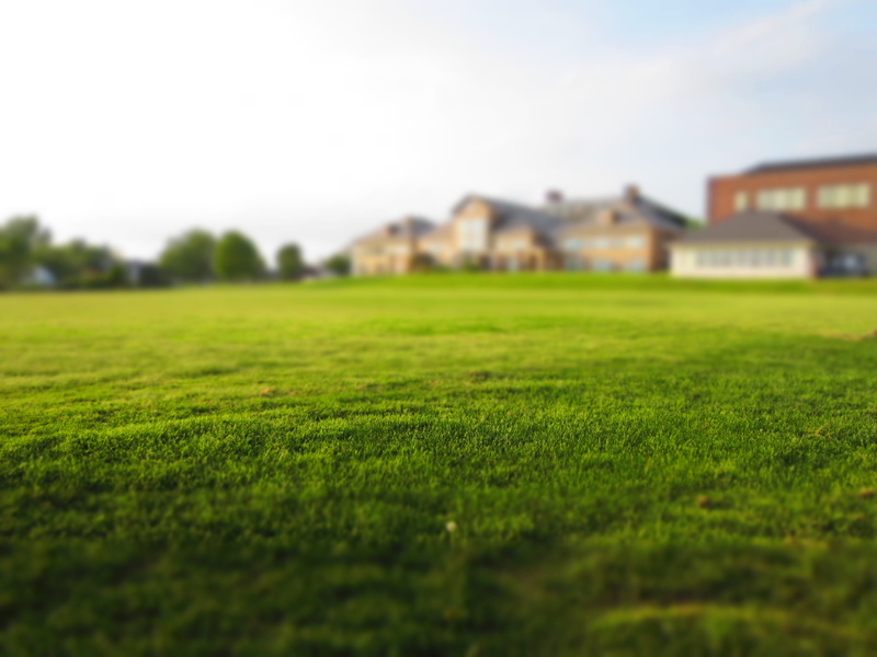 environment, nature, suburban, landscape, mowing, rural scene, green color, built structure, real estate, gras, architecture, no people, surface level