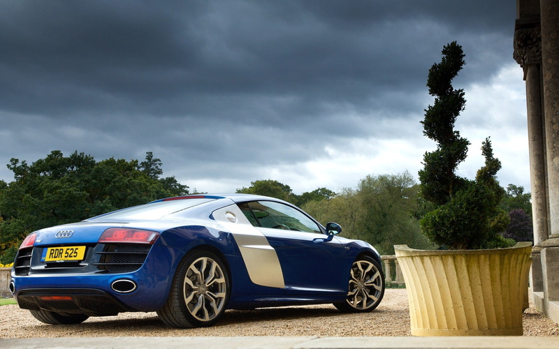 blue, Audi R8, plants, car, 2K, Audi, vehicle, blue cars, r