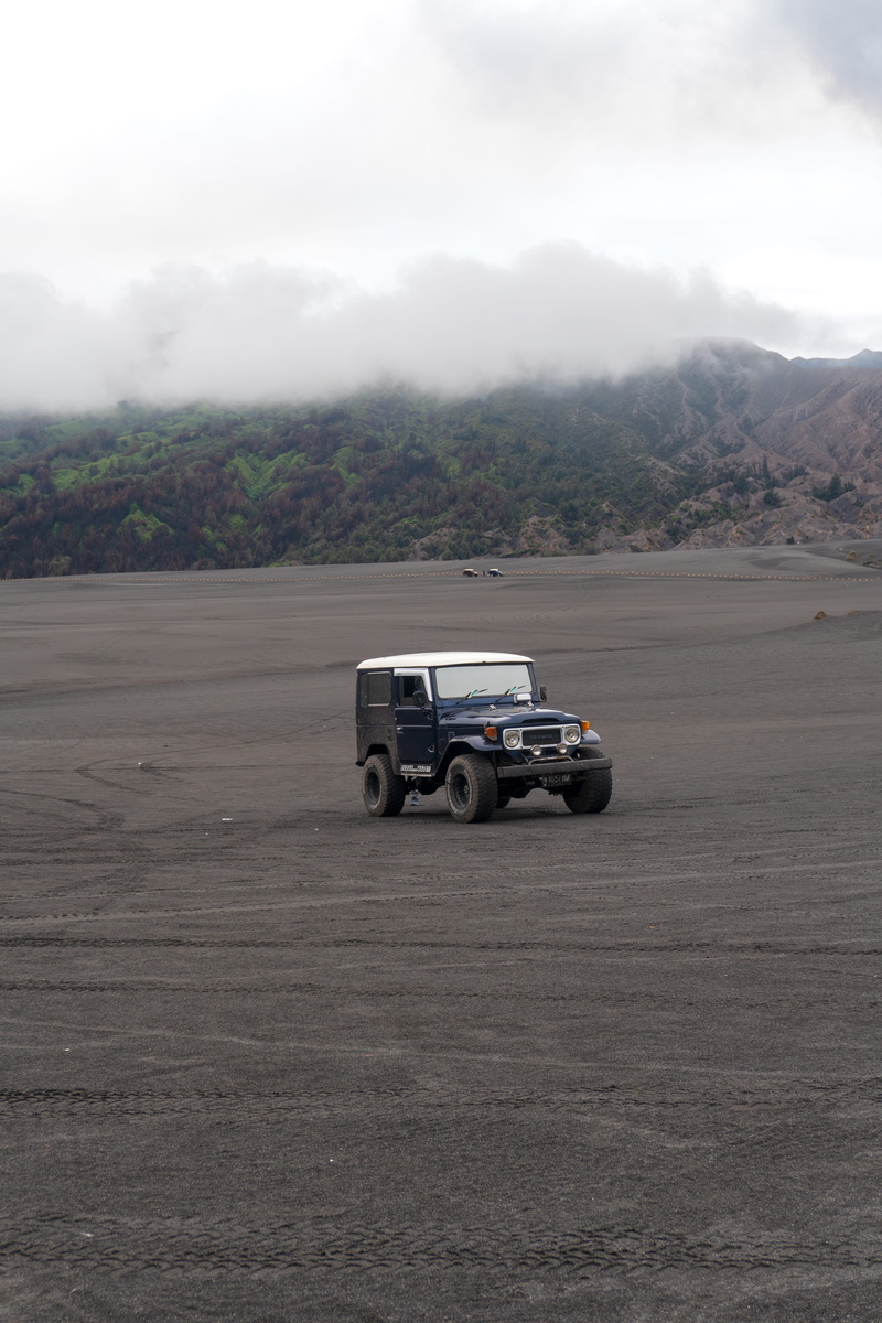 action, tracks, tree, toyota, transportation system, dust, classic, offroad, automobile, day, environment, soil, drive, field, landscape, scenics - nature