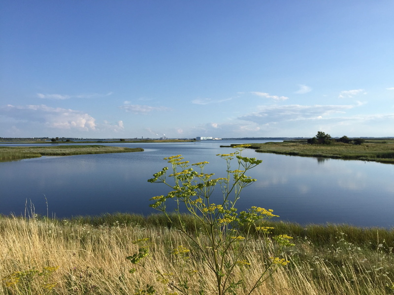 beach, non-urban scene, grass, beauty in nature, plant, lake, scenics - nature, day, tranquility, outdoors, land, nature, tranquil scene, water, 2K, cloud - sky