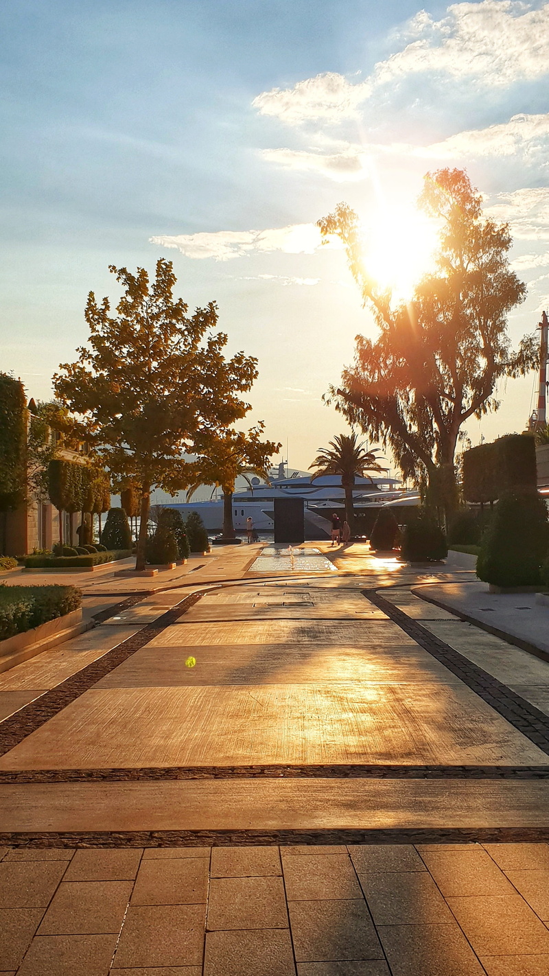 footpath, porto montenegro, outdoors, fountain, yellow, concrete, summer, palms, plant, yacht, cloud - sky, tivat, ships, sky, road, sunset, sea, palm