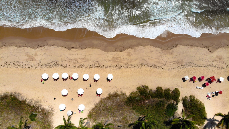 beauty in nature, 4K, umbrella, daylight, sand, photography, landscape, from above, animal, palm trees, scenics - nature, animal wildlife, seaside, aerial photography