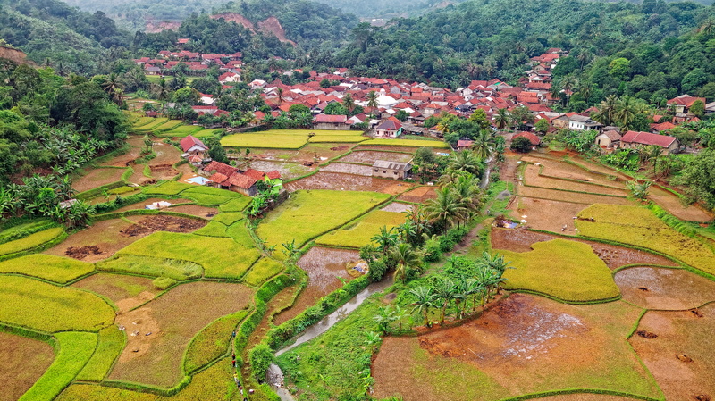 landscape, photography, no people, rural scene, farmland, beauty in nature, aerial, aerial shot, green, growth, environment, birds eye view, 4K, plant