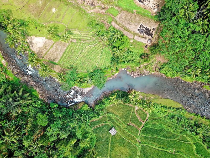 day, stones, outdoors, water, rocks, daylight, no people, 4K, farm, rural scene, growth, trees, aerial, non-urban scene, cropland, rice, environment, aerial shot