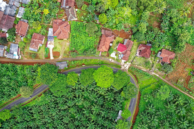 from above, aerial shot, areal, village, exterior, scenic, plant, farm, sight, outdoors, drone footage, architecture, green color, yard, crop, grass, daylight