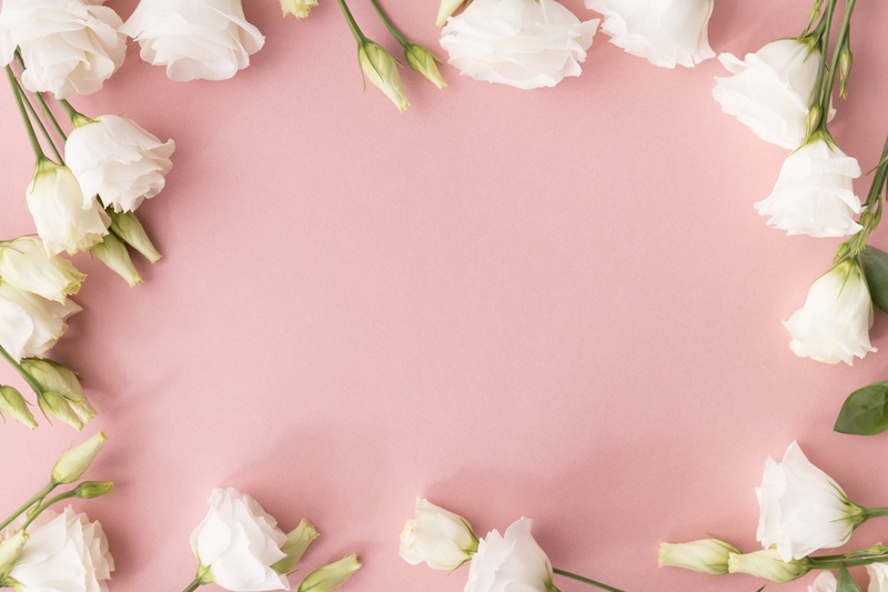 Eustoma, 5K, white, background, Flowers