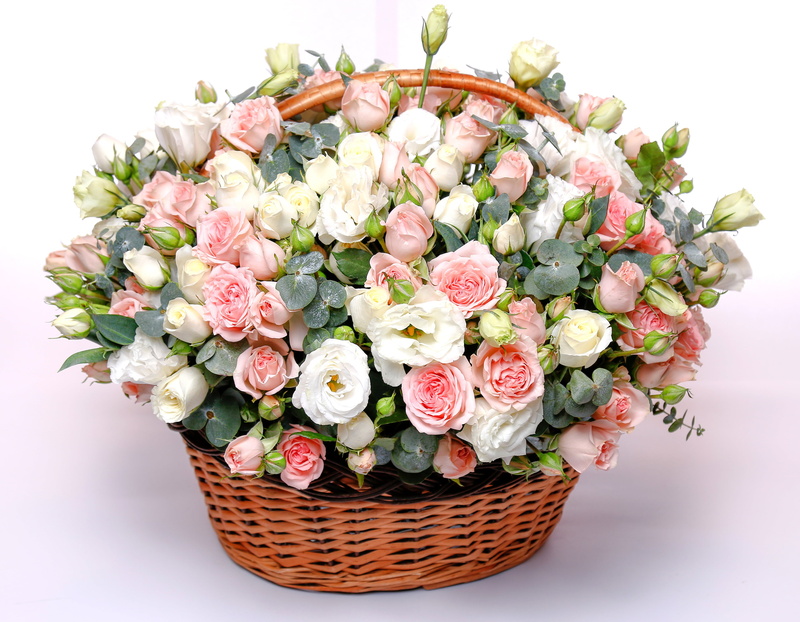 arrangement, pink Color, inflorescence, indoors, chic, elegance, gentle, decor, isolated, rose - Flower, eustoma, multi Colored, summer, bouquet, backgrounds