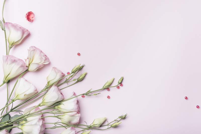 pink, background, 5K, eustoma, flowers