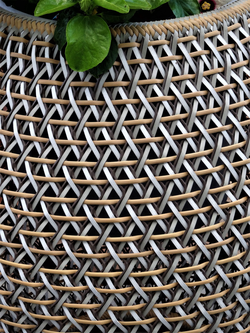 creativity, pattern, particulars, growth, wattle, metal, decorative, basket ware, plant part, nature, leaf, design, day, 5K, textured, backgrounds, potted plant