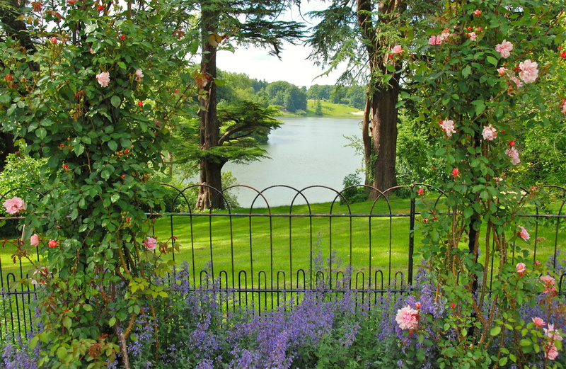 trees, scenics - nature, flower, garden, tranquility, beauty in nature, 1080P, lake, river, greens, barrier, UK, flowering, nature, water, roses, Oxfordshire Gardens