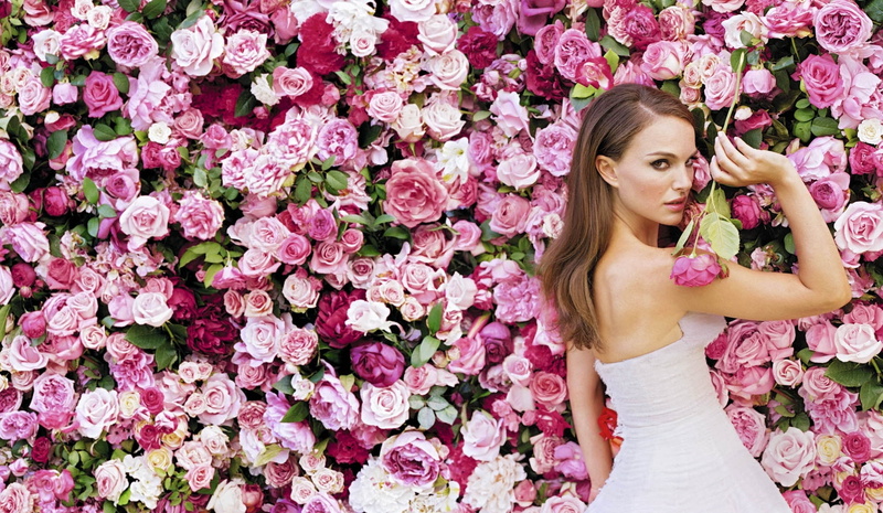 the bushes, s, roses, standing, freshness, flower, Natalie Portman, beautiful woman, hair, adult, nature, flowers, flower head, pink, shoulder, long hair