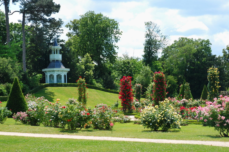 growth, trees, formal garden, plant, design, sky, park - man made space, garden, green, outdoors, day, flowers, park, beauty in nature, flower, flowering plant