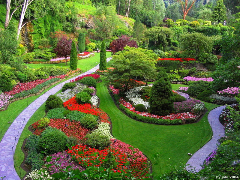nature and landscapes, flowers, garden, flower, trees, path, 1080P