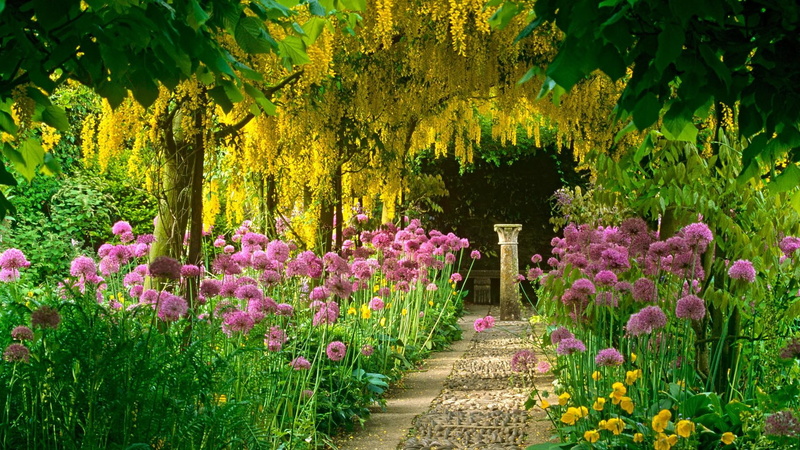 flower, path, 3d and abstract, garden, statue, allium, laburnum, 1080P