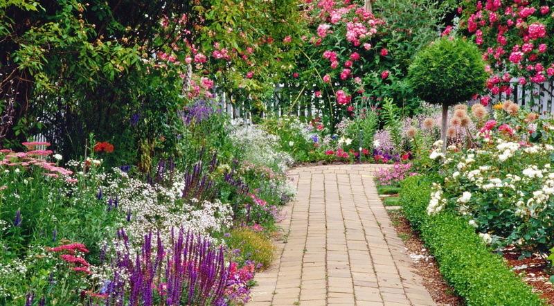 purple, pink Color, walking paths, springtime, garden path, botany, landscaped, multi Colored, vibrant Color, petal, outdoors, ornamental Garden, summer