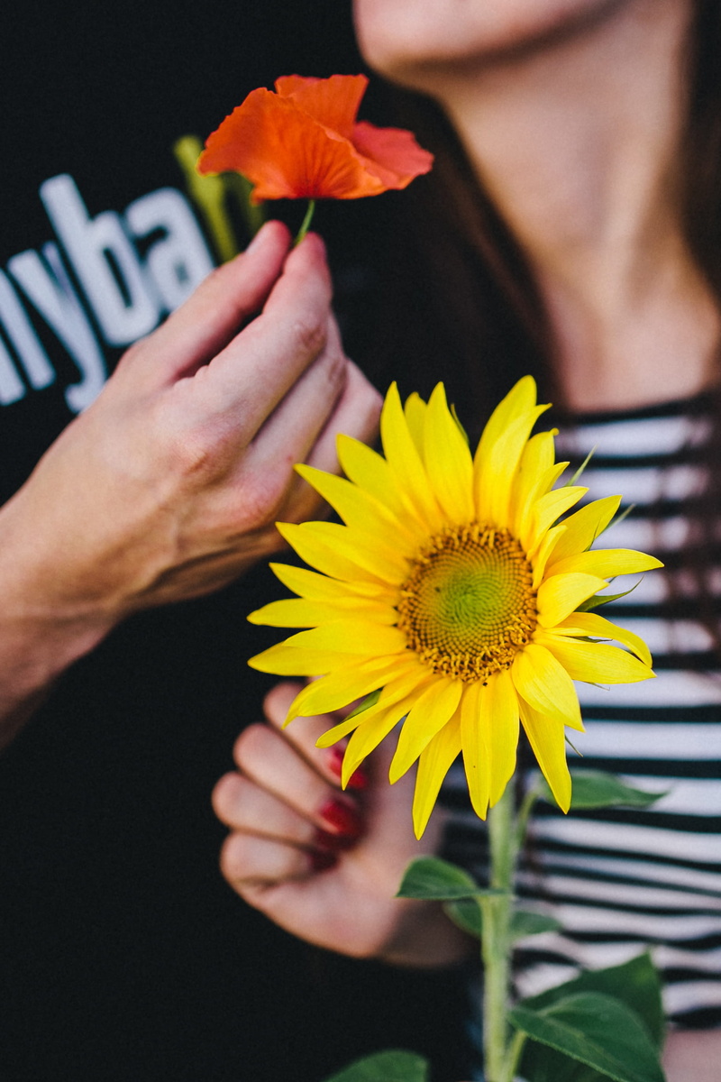inflorescence, real people, romance, petal, fragility, pollen, flower, women, people, hugging, one Person, young Adult, love, finger, woman, romantic, girl