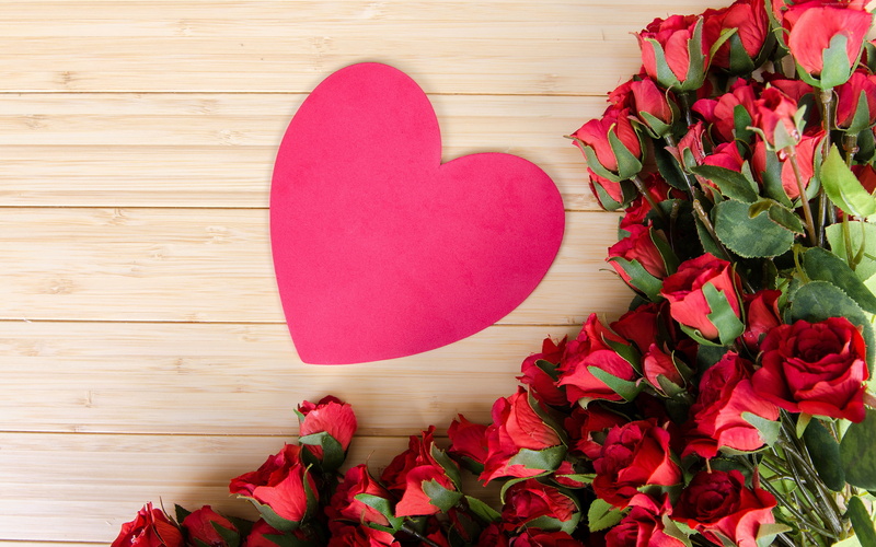 heart, love image, rose, flowers, 4K, 4k