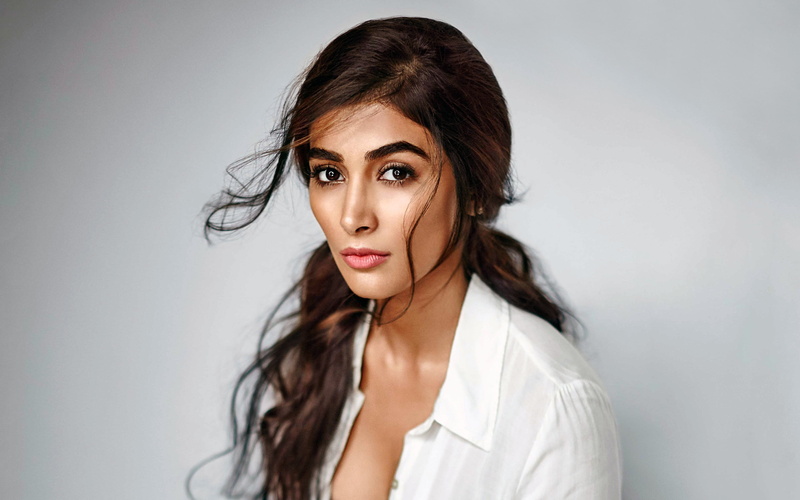 4K, brown hair, adult, beauty, studio shot, long hair, hairstyle, human hair, young women, one person, black hair, beautiful woman, pretty, actress, gray