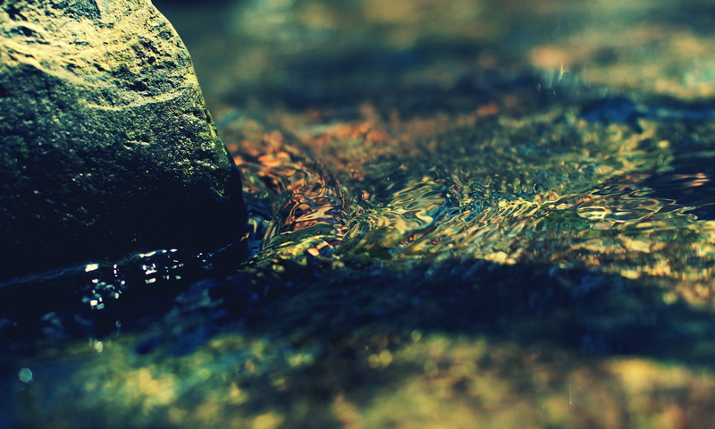no people, nature, rough, pattern, still life, stones, backgrounds, plant, rock - object, 2K, close-up, surface level, land, reflection, shiny, drop, wet