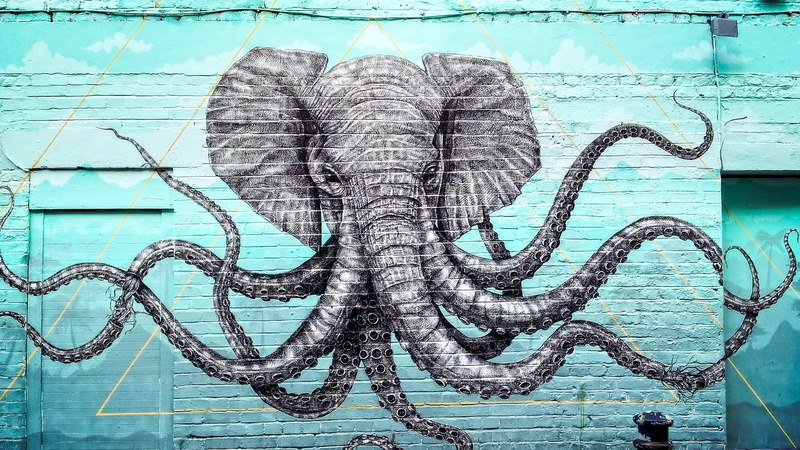 reptile, no people, day, architecture, animal wildlife, ooctopus, close-up, vertebrate, garry knight, wall - building feature, creativity, animal representation