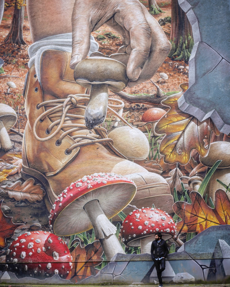 outdoors, close-up, food, choice, modern, street, plant, freshness, art, food and drink, shrooms, representation, spray, high angle view, grafitti, graffitti