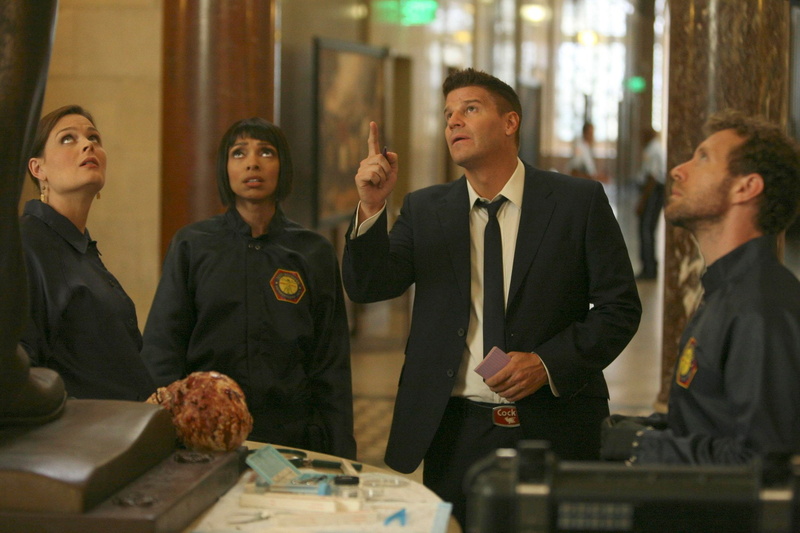 standing, Seeley Booth, women, mid adult, David Boreanaz, occupation, young men, young adult, Camille Saroyan, uniform, communication, waist up, business