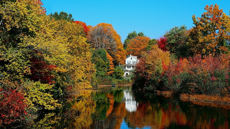 autumn colors, beauty in nature, orange color, tree, vegetation, change, day, no people, water, reflection, temperate broadleaf and mixed forest, built structure