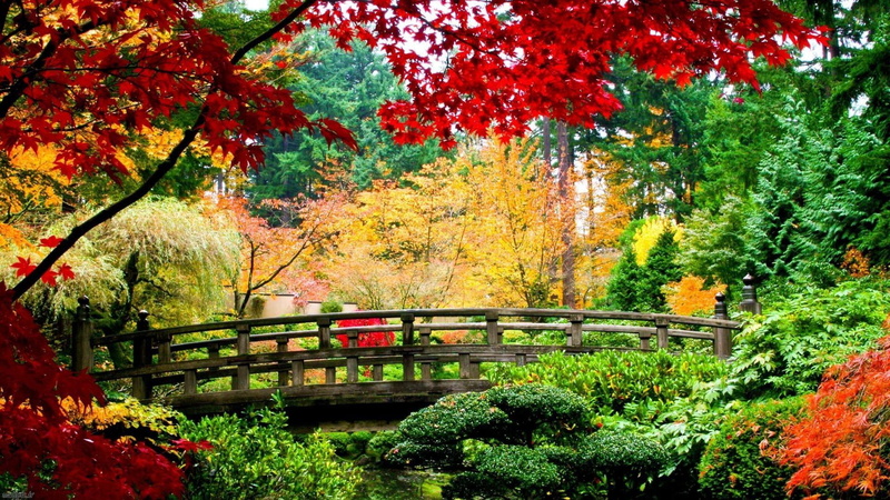 architecture, change, bridge, vegetation, landscape, autumn collection, tranquil scene, connection, leaf, built structure, orange color, red, green color