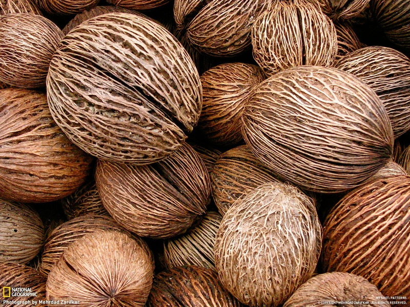 outdoors, shells, still life, market, day, 720P, repetition, heap, abundance, backgrounds, shape, pattern, photography, coconut, brown, closeup, food
