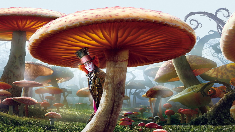 Alice in Wonderland (2010), Johnny Depp, 1080P, Fantasy, Movie, Mushroom, Mad Hatter