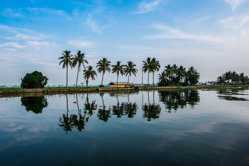 india, body, Backwater, Reflection, landscape, tranquility, Water, coconut, coconut palm tree, cloud - sky, beauty in nature, tranquil scene, no people