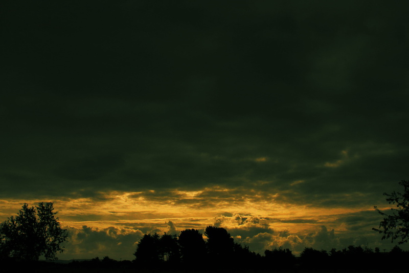 outdoors, storm, sundown, clouds, ancud, sky, biodiversidad, native forest, plant, patagonia, cloud - sky, chile, non-urban scene, growth, idyllic, sunset